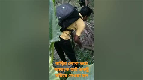 এত বড়ো সাপ দেখে ভয় পেয়ে গেল সবাই Snakerescue Plzsubscribemy