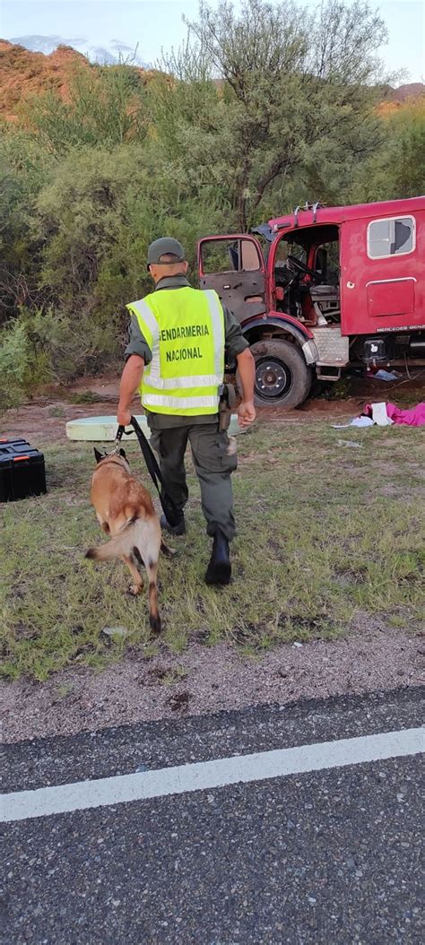 Camionero acribillado impactantes imágenes de lo que pasó