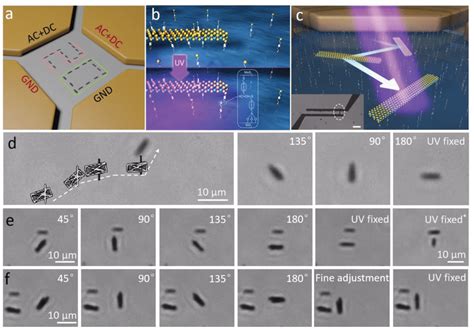 Assembly Of MoS2 Nanoribbons With Thiolyne Clickchemistry Onto A