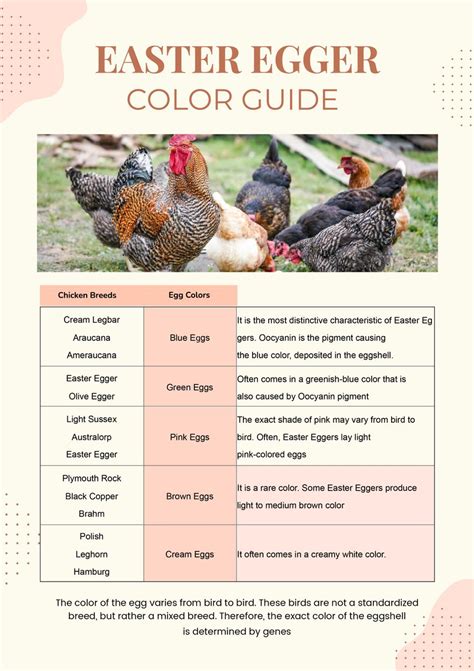 Easter Egger Color Chart In Illustrator Pdf Download