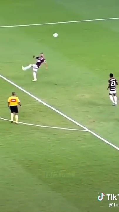 Os Gols Mais Bonitos Do Brasileirão Youtube