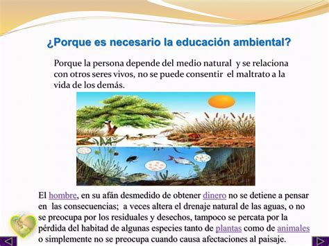 Educacion Ambiental Porque Debemos Cuidar El Medio Ambiente Ppt