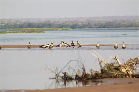 [TRAVEL]: 5 Nights In Zambia - November 2020 | The Glam Green Girl