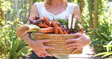 Curious Effects Going Vegan Has On Your Sex Life Barnorama