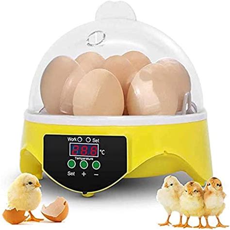 Top Incubator For Chicken Eggs Of Katynel