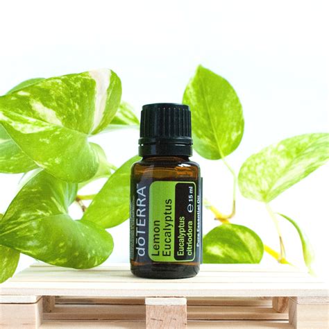 Buy doTERRA Lemon Eucalyptus (15 ml)