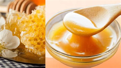 Manuka Honey Health Benefits Daily Consumption And Identification