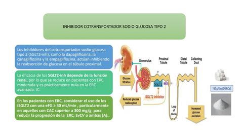 ENFERMEDAD RENAL DIABETICA Presentacion Pptx