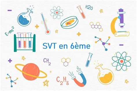 Svt En Me Cours Et Exercices Imprimer Prof Innovant