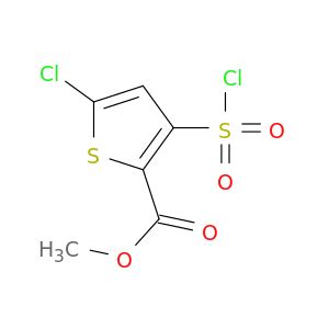 126910 68 7 2 Thiophenecarboxylic Acid 5 Chloro 3 Chlorosulfonyl