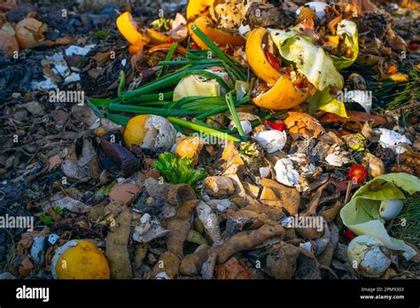 Food Waste On A Compost Heap Close Up Composting Of Human Waste