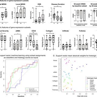 Clinical And Histologic Correlates Of Three Gene Expression Subsets