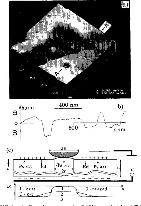 Figure 1 From Nanoscale Visualization And Control Of Ferroelectric