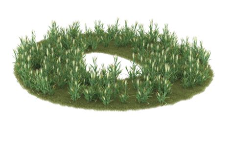 Grass Circle Pngs For Free Download