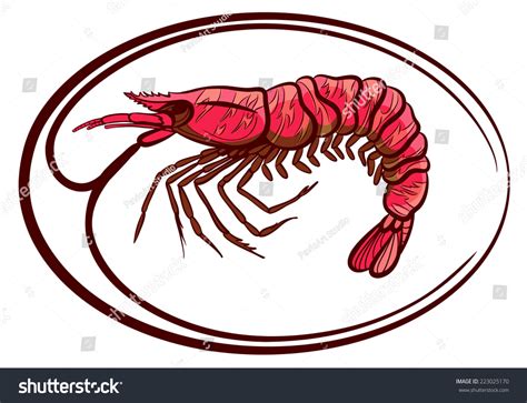 Tiger Prawn Isolated Vector Illustration Vector De Stock Libre De