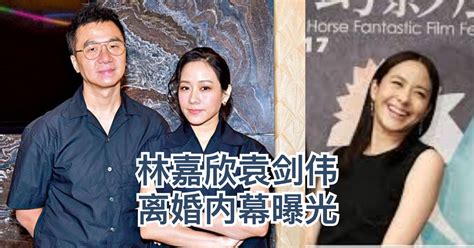 林嘉欣袁剑伟离婚内幕曝光 新生活报 Ilifepost爱生活