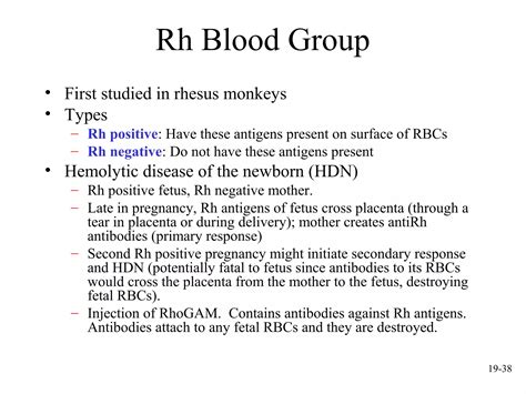 mcgraw hill chapter 19 blood power point | PPT 