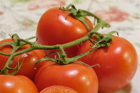 Tomate Gemüse Salat Kostenloses Foto auf Pixabay Pixabay