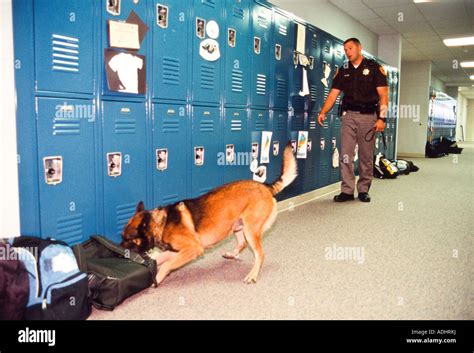 Drug Detection Dogs Tactical Police K9 Training 48 Off