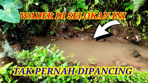 Mancing Wader Di Spot Jarang Di Pancing Pemancing Susukan Tasikmalaya