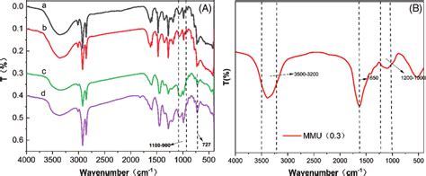 Ft Ir Spectra Curves Of Rl Lmu1 3 Wt And Mmu A Rl Sap B Lmu1 3 Download Scientific