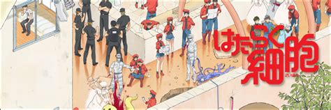 Anime ÉtÉ 2018 Hataraku Saibou Moepop Ruru Berryz Moepop Ruru