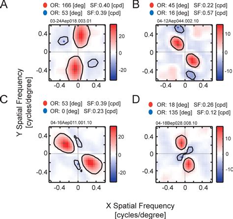 Receptive Field Properties Of Neurons In The Early Visual Cortex