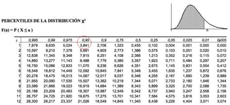 Chi Cuadrado Distribuci N C Mo Se Calcula Ejemplos