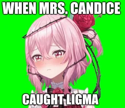 WHEN MRS. CANDICE CAUGHT,LIGMA - iFunny