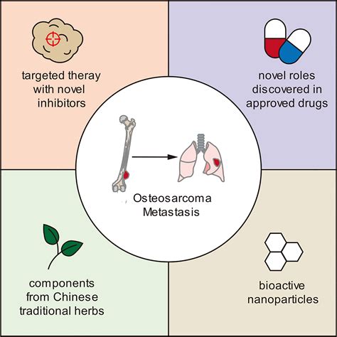 Frontiers Molecular Mechanisms Of Osteosarcoma Metastasis And