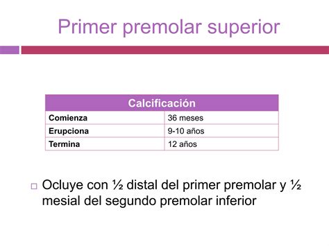 Primer Premolar Superior Ppt