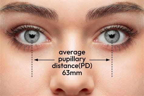 Measuring Clarity All You Need To Know About Pupillary Distance Pd