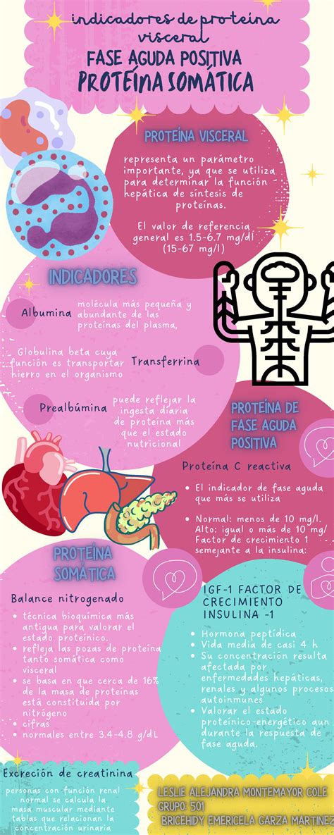 Infografia Fase Aguda Positiva Indicadores De Prote Na Visceral El