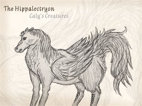The Hippalectryon By Calyscreatures On Deviantart