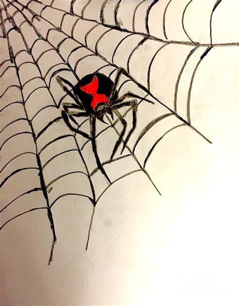 Black Widow Spider Sketch at sasluggageblog Blog