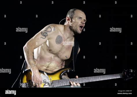 The Red Hot Chili Peppers Bassist Flea Performs At The Roundhouse On November In London