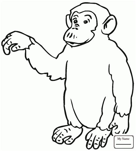 Chimp Drawing at GetDrawings | Free download