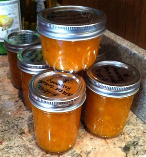 Apricot Ginger Rosemary Jam Canning Homemade