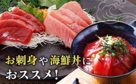 【ながさき水産業大賞受賞の新鮮なマグロを冷蔵でお届け！！】五島列島産 養殖 生本かみまぐろ 赤身 中トロ 刺身 ブロック 計約700g【カミ