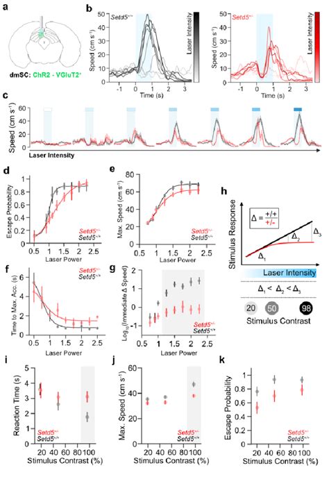 Optogenetic Activation Of Deep Sc Neurons Recapitulates Lar