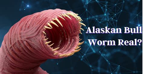 alaskan bull worm real life Archives | Overall Guides