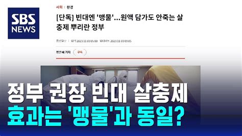 정부 권장 빈대 살충제 10년 전부터 원액에 담가도 효과 없음 Sbs Youtube