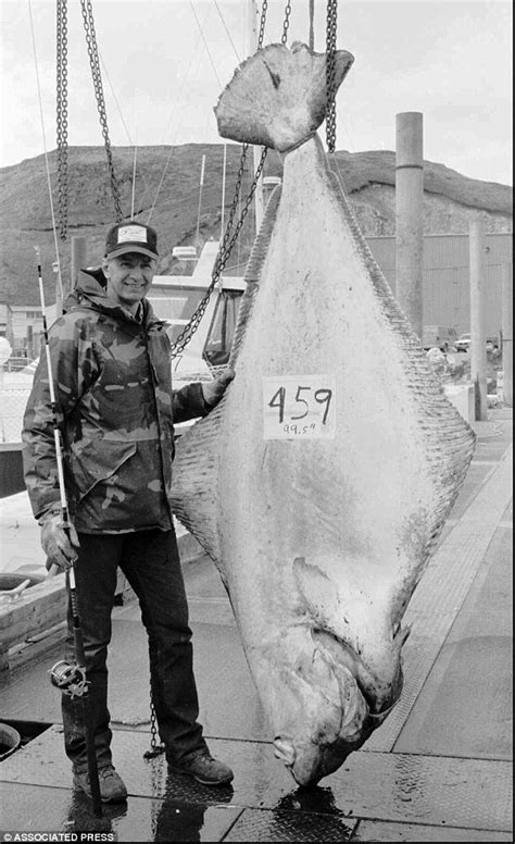 Pacific Halibut World Record