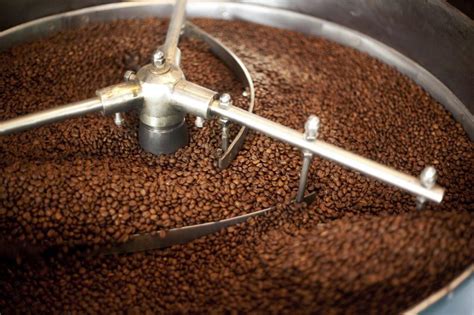 10 Proses Perjalanan Biji Kopi Dari Benih Hingga Ke Secangkir Kopi