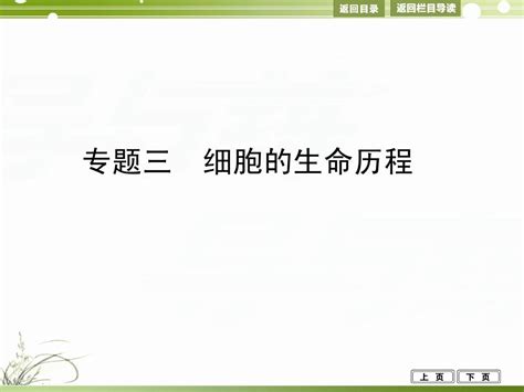 2014届高考生物二轮专题整合突破课件：专题三细胞的生命历程word文档在线阅读与下载无忧文档