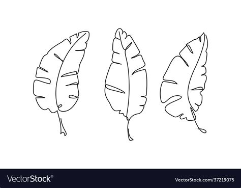 Banana Leaf Continuous One Line Drawing Line Art Vector Image