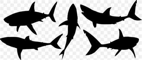 Great White Shark Silhouette Clip Art, PNG, 2270x968px, Shark, Blackandwhite, Cartilaginous Fish ...