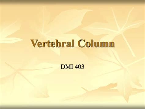 Ppt Vertebral Column Powerpoint Presentation Free Download Id 1833050