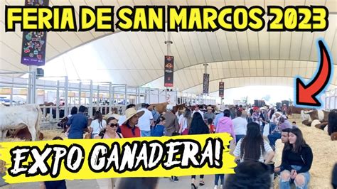 As Es La Expo Ganadera Feria De San Marcos Arturodelmar