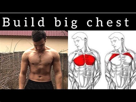 Top Exercises For Chest In Weeks With Dumbbell Home Workout Youtube